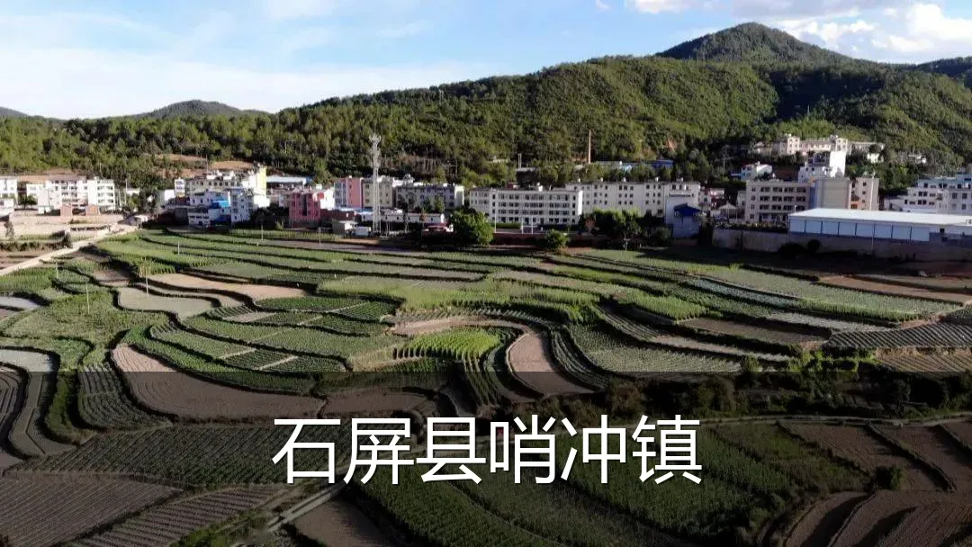 石屏县哨冲镇