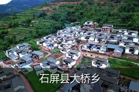 石屏县大桥乡