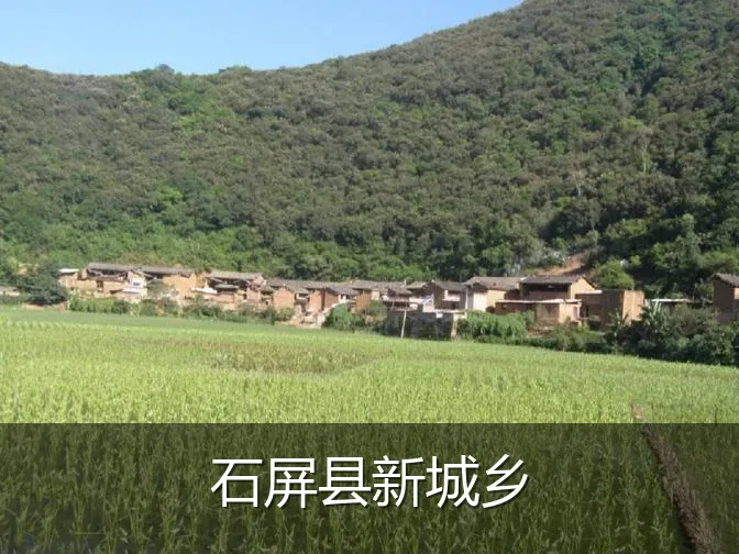 石屏县新城乡