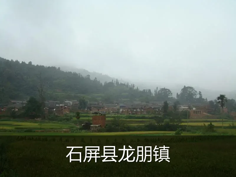石屏县龙朋镇